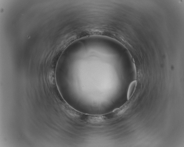 X0000071380671200606261415