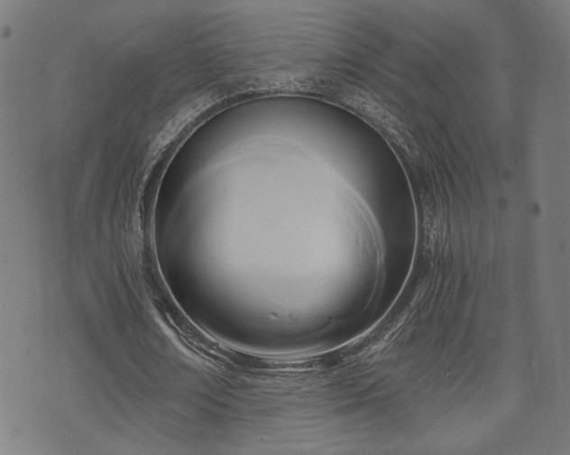 X0000071380674200606261414