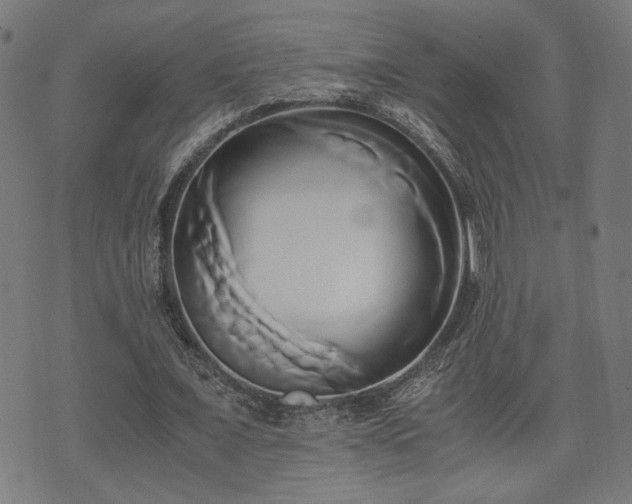 X0000071380675200606261414