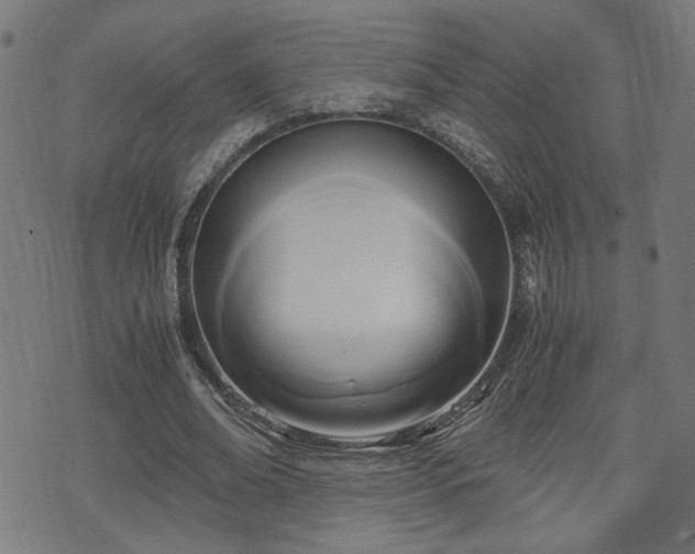 X0000071380678200606261414