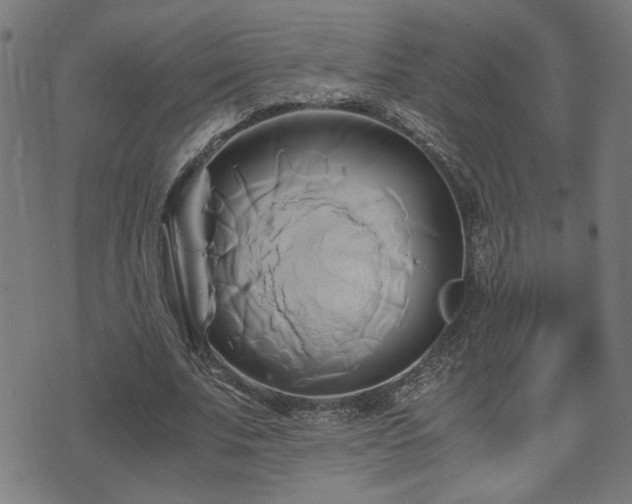 X0000071380679200606261414