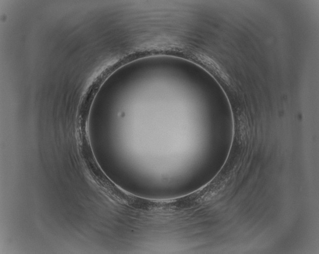 X0000071380680200606261414