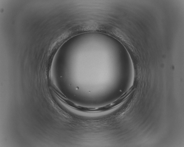 X0000071380681200606261414