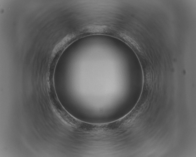 X0000071380682200606261414