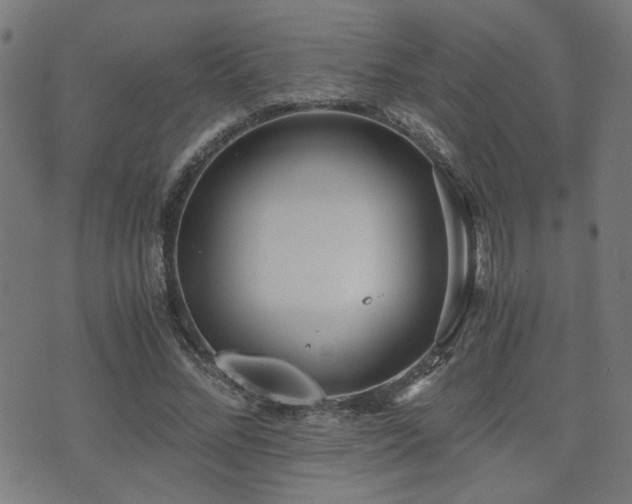 X0000071380684200606261414