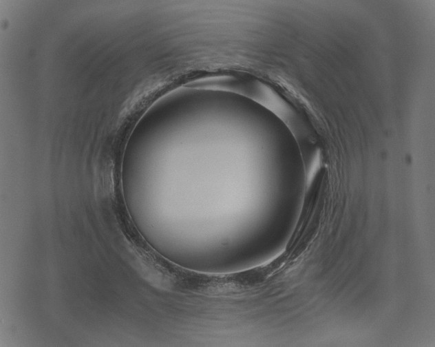 X0000071380685200606261414