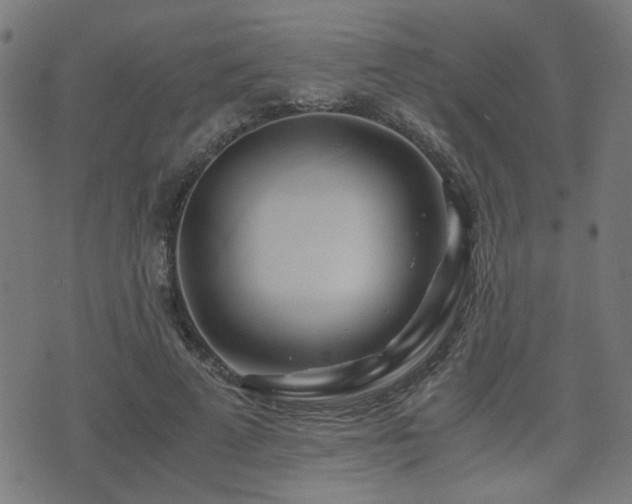 X0000071380689200606261414