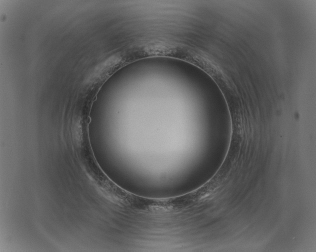 X0000071380690200606261414