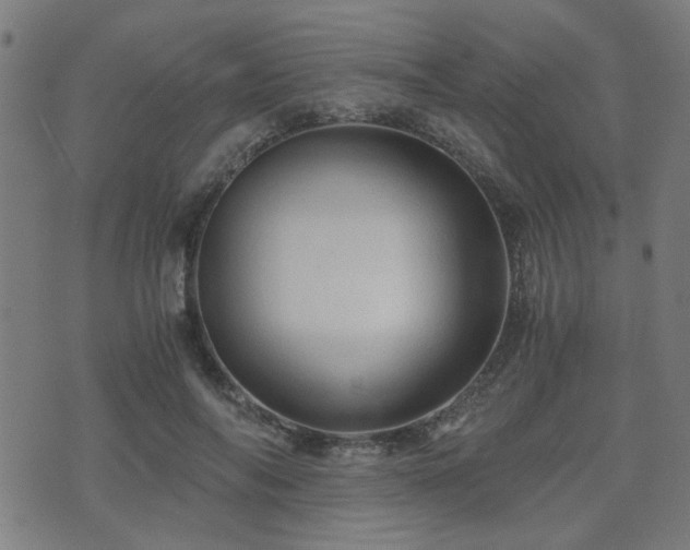 X0000071380694200606261414