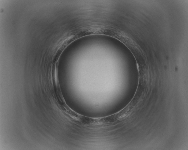 X0000071380696200606261414