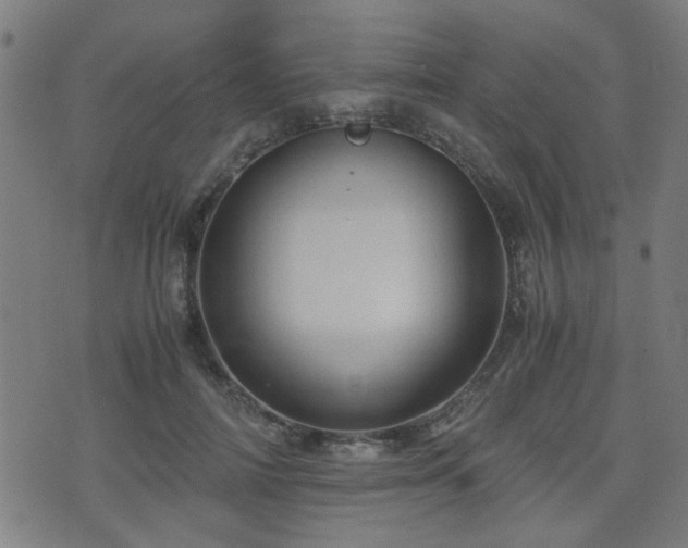 X0000071380698200606261414