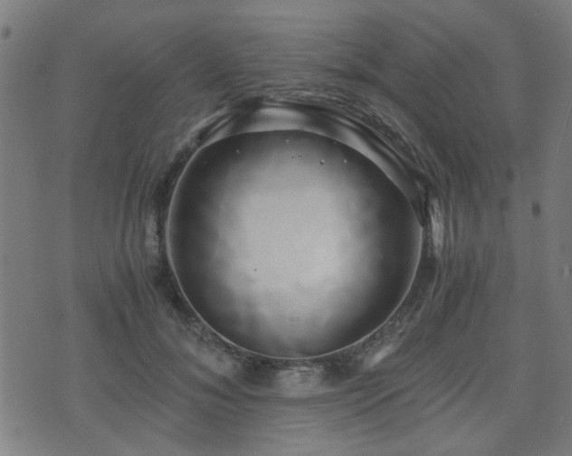 X0000071380700200606261413