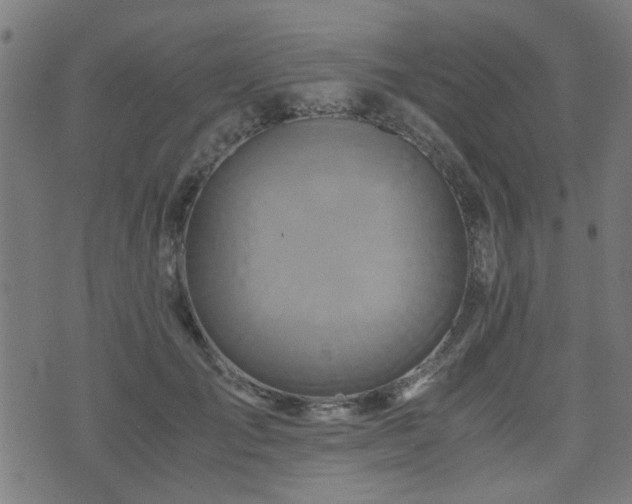 X0000071380701200606261413