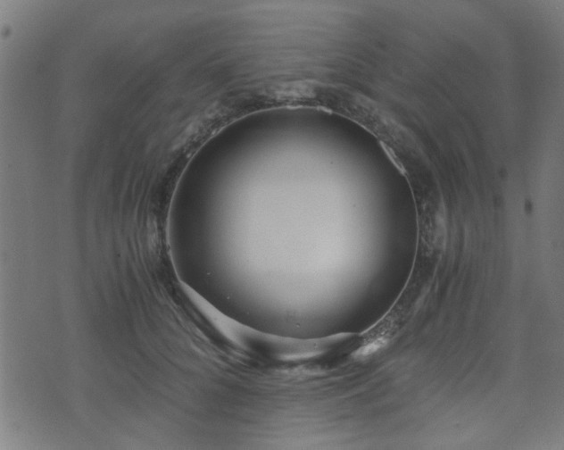 X0000071380704200606261413