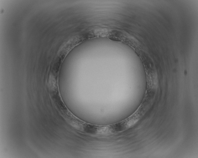 X0000071380705200606261413