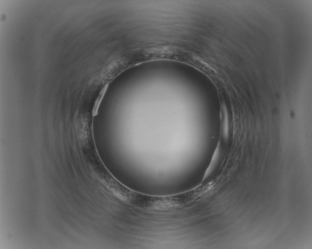 X0000071380708200606261413