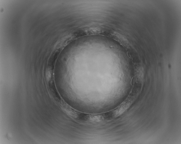 X0000071380709200606261413