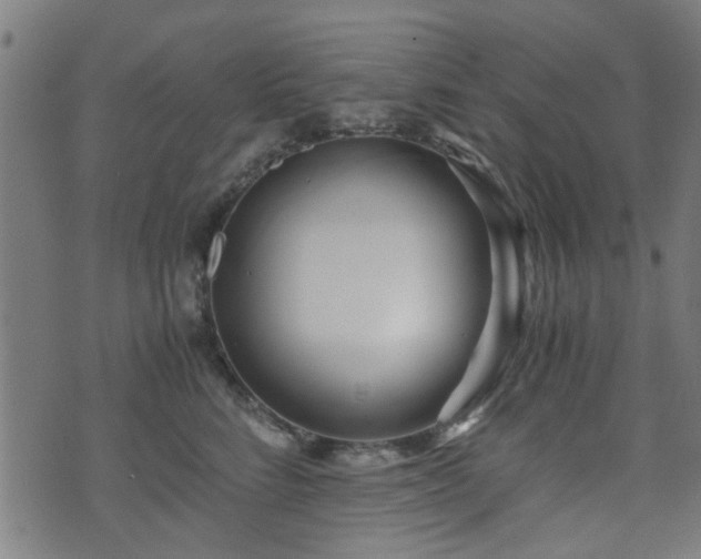 X0000071380712200606261413