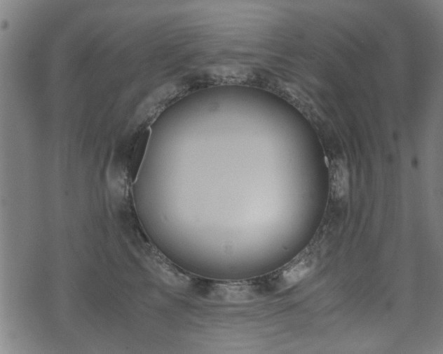 X0000071380713200606261413