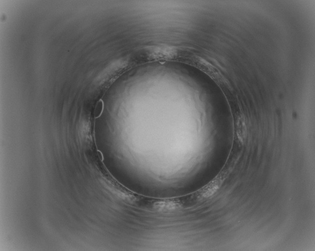 X0000071380714200606261413