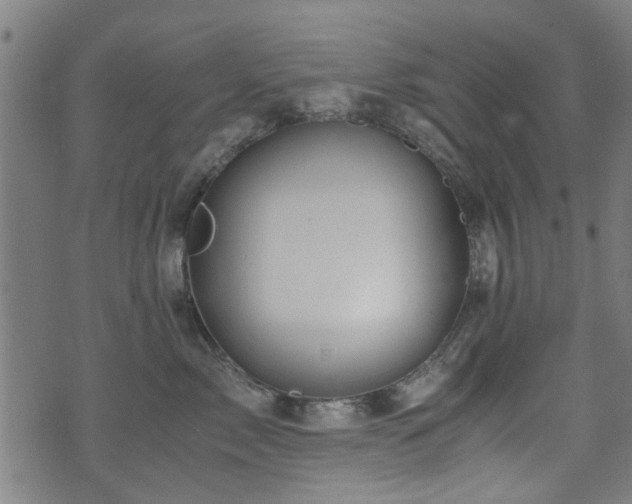 X0000071380717200606261413