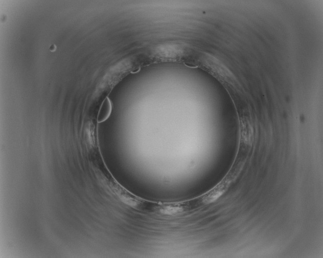 X0000071380718200606261413