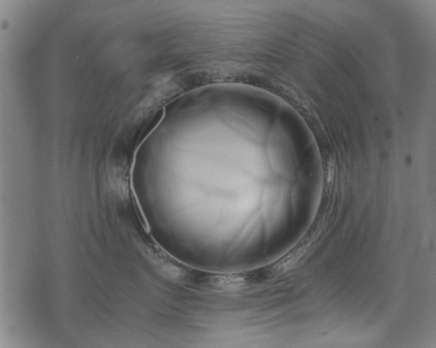 X0000071380719200606261413