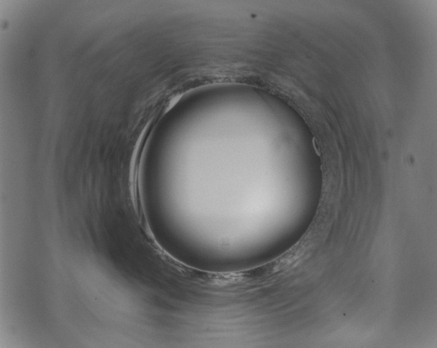 X0000071380720200606261413