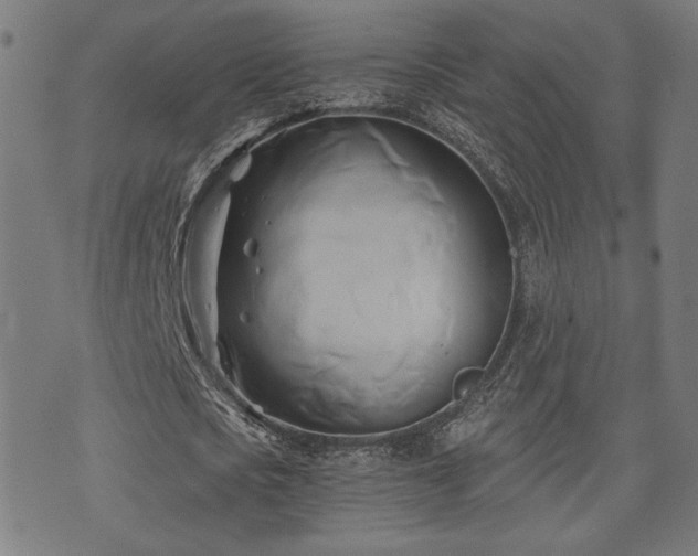 X0000071380721200606261412