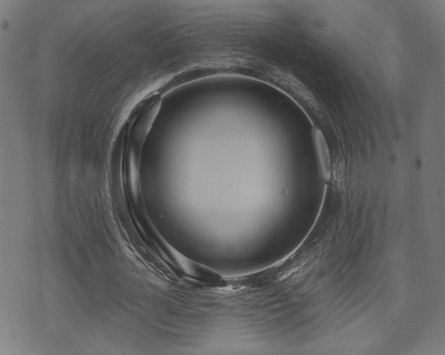 X0000071380724200606261412