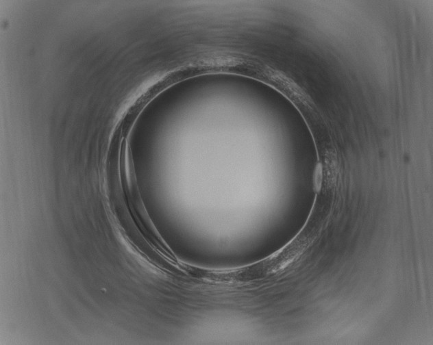 X0000071380726200606261412