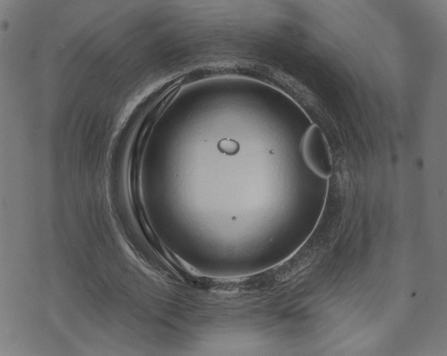 X0000071380728200606261413