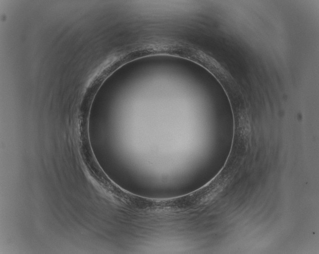 X0000071380730200606261413