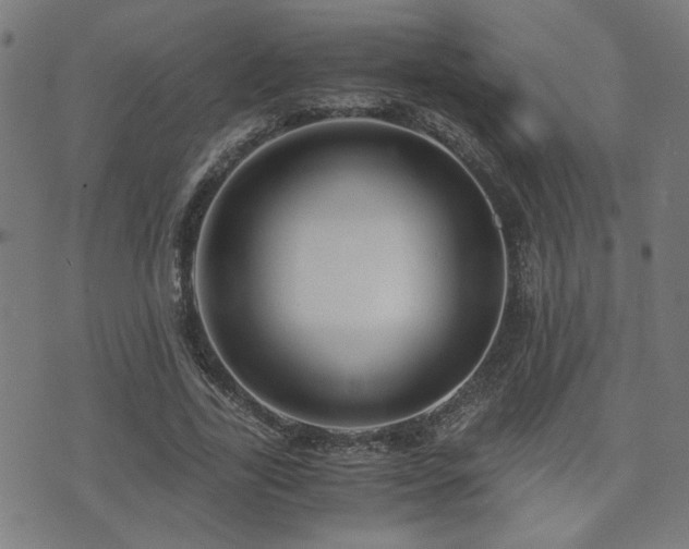 X0000071380731200606261413