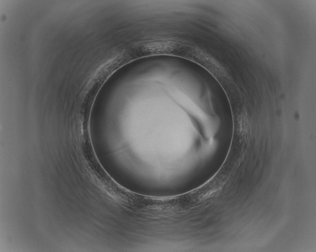 X0000071380733200606261413