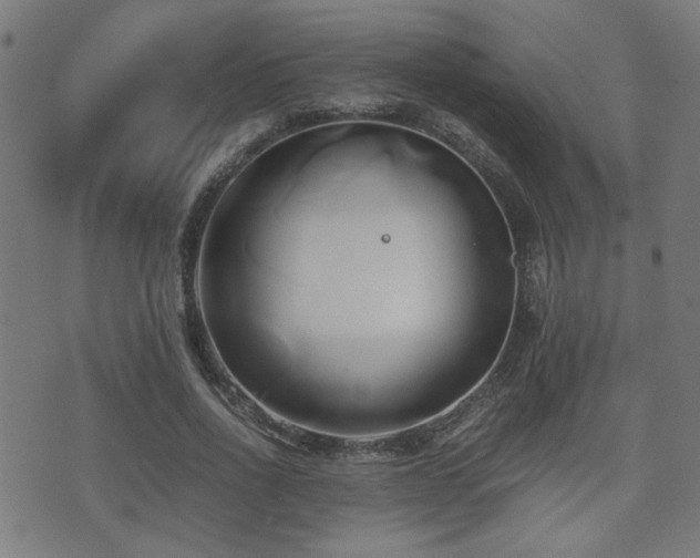 X0000071380734200606261413