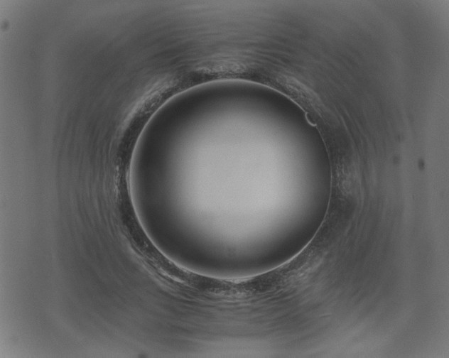 X0000071380735200606261413