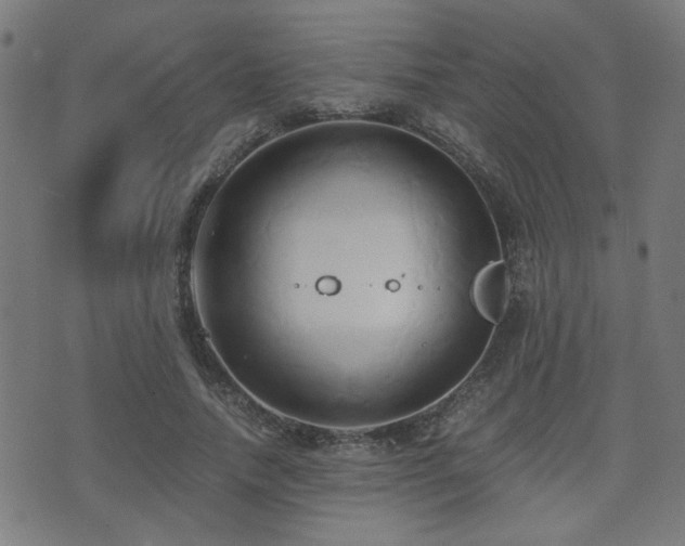 X0000071380738200606261413