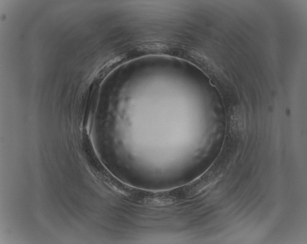 X0000071380739200606261413