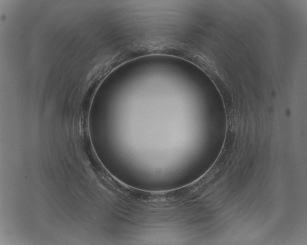 X0000071380740200606261413