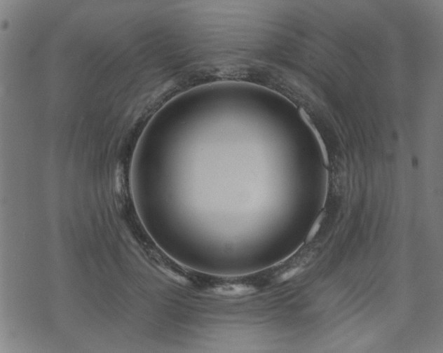 X0000071380748200606261413