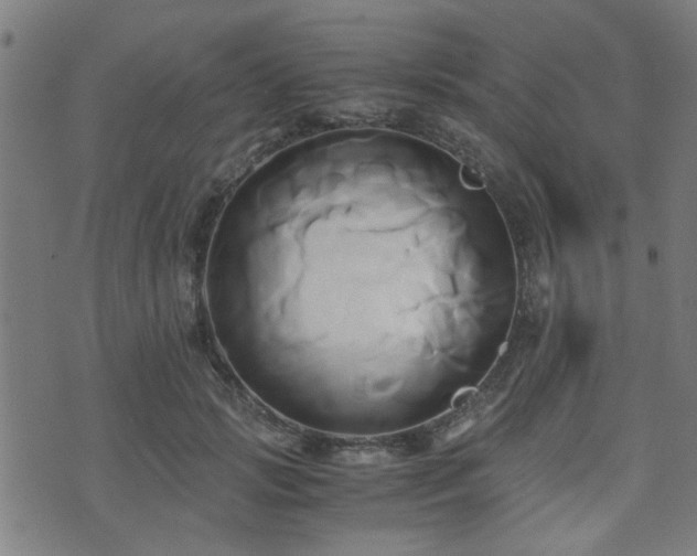 X0000071380749200606261413