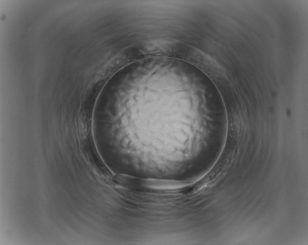 X0000071380751200606261413