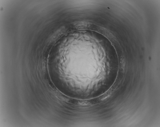 X0000071380753200606261413