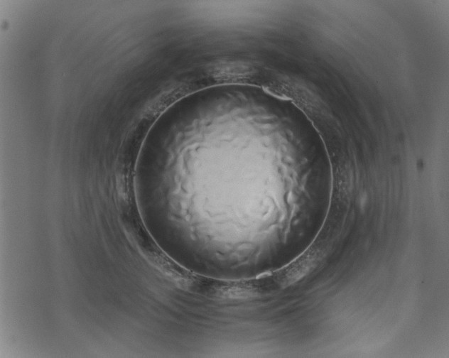 X0000071380755200606261413