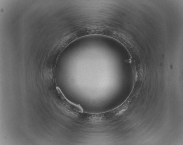 X0000071380756200606261413