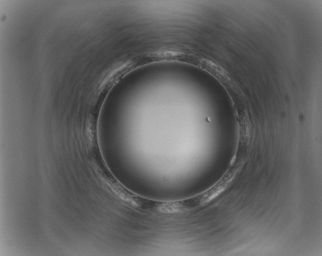 X0000071380762200606261413