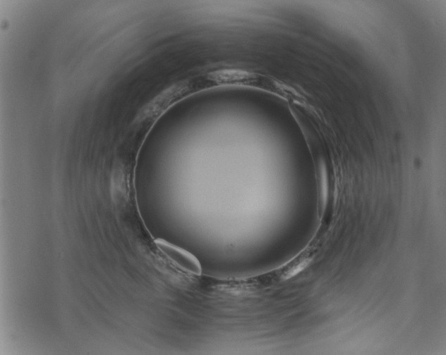 X0000071380763200606261413