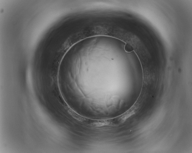 X0000071380765200606261413