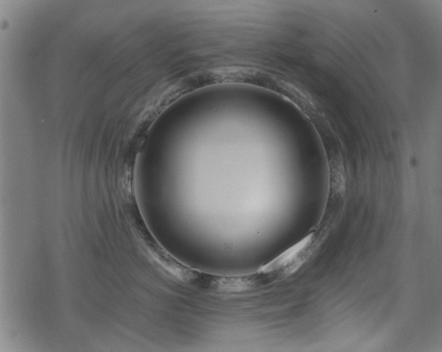 X0000071380766200606261413